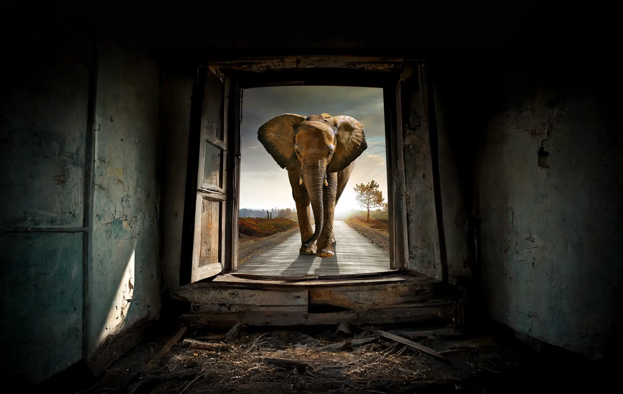 Surreal, an elephant walking towards a large window opening.