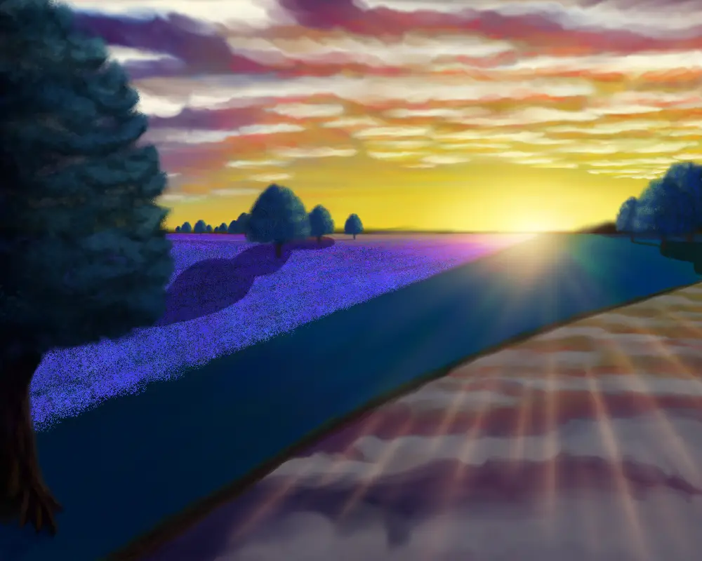 Surreal. Landscape with rising/setting sun. Lavender field with trees and lake reflecting cloud colors in the sky.